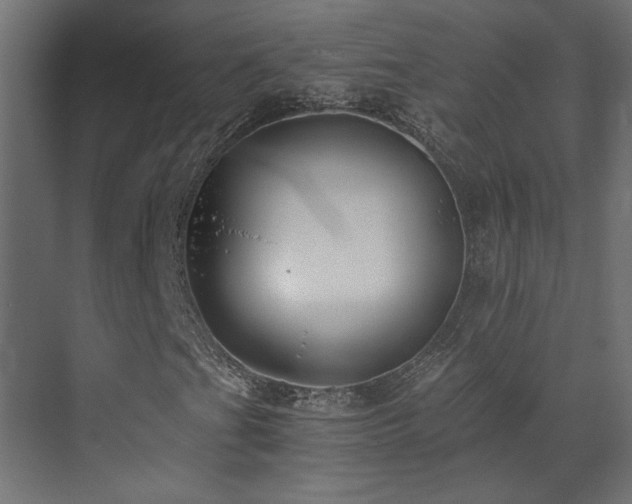 X0000073511201200607311309