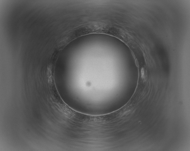 X0000073511203200607311309
