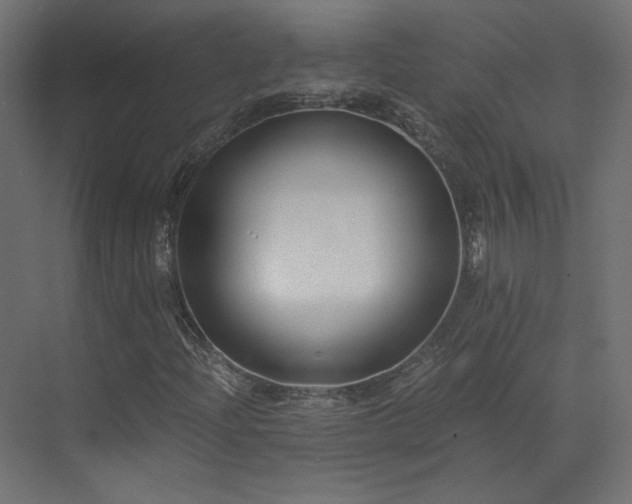 X0000073511204200607311309