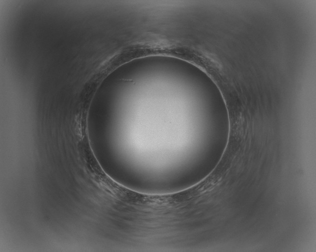 X0000073511205200607311309