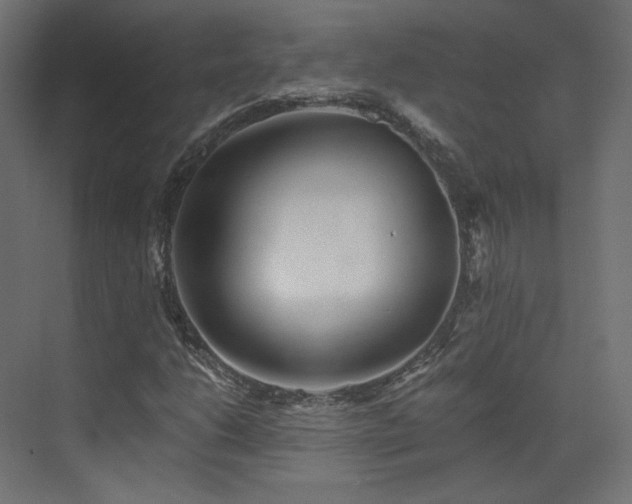 X0000073511206200607311309