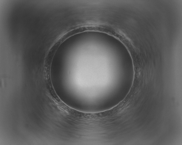 X0000073511208200607311310