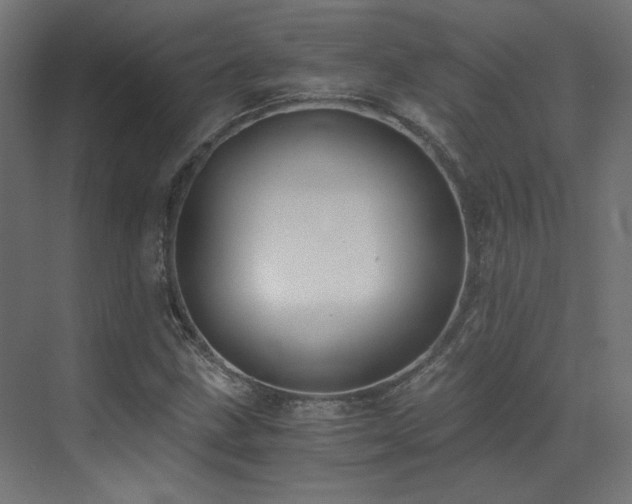 X0000073511211200607311310