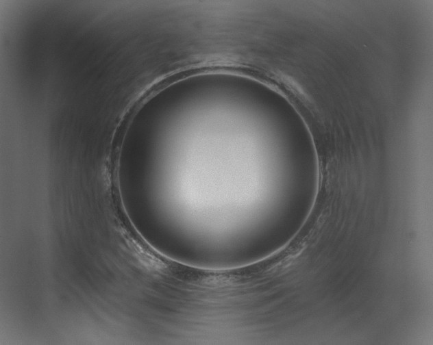 X0000073511212200607311310