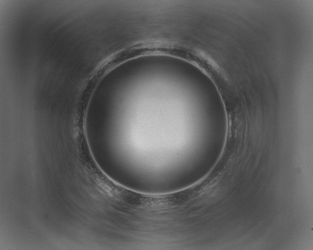 X0000073511213200607311310
