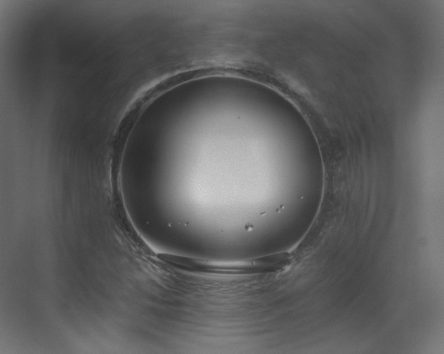 X0000073511214200607311310