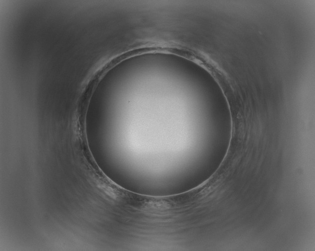 X0000073511215200607311310