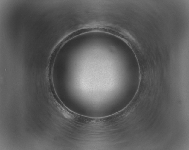 X0000073511216200607311310