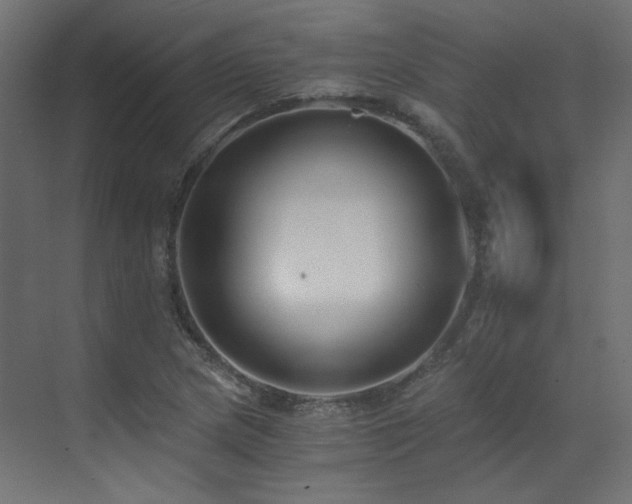X0000073511217200607311310