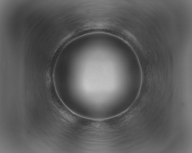 X0000073511218200607311310