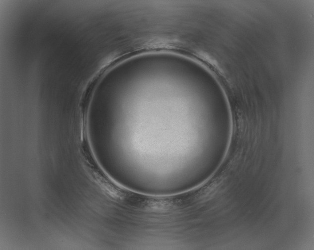 X0000073511219200607311310