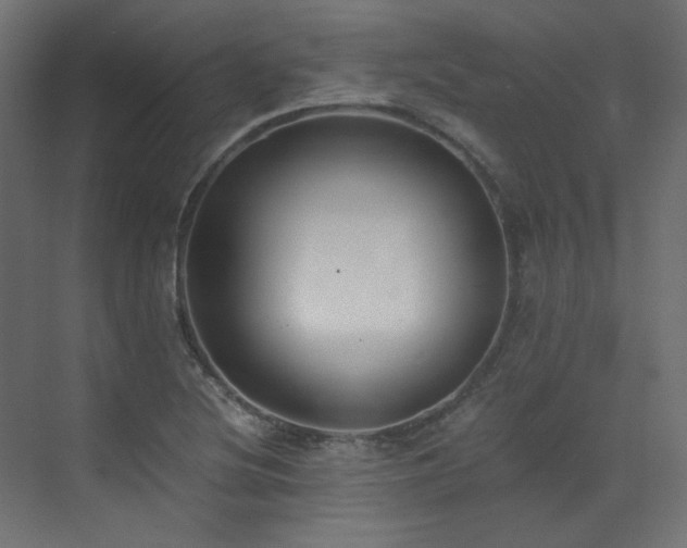 X0000073511220200607311310