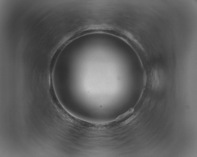 X0000073511221200607311310