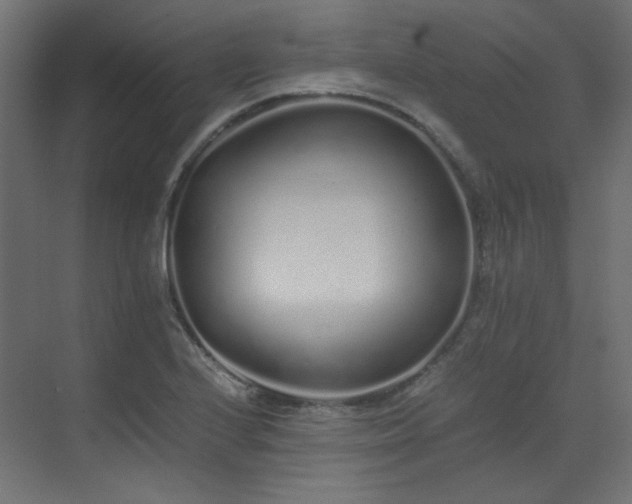 X0000073511224200607311310