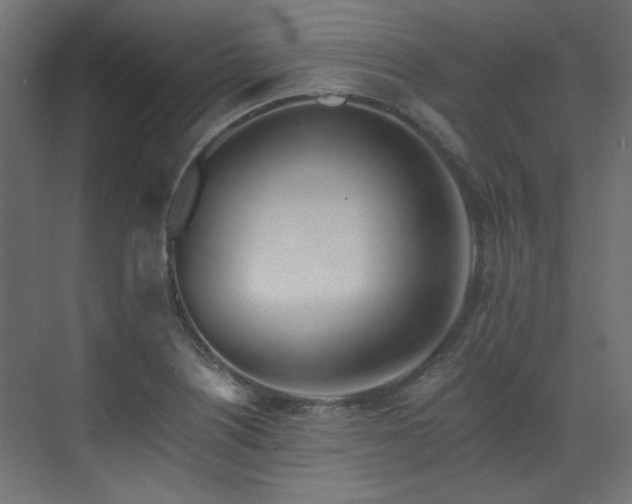 X0000073511226200607311310