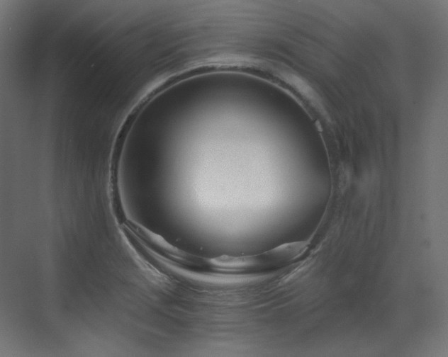 X0000073511229200607311310