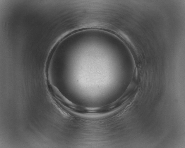 X0000073511230200607311310