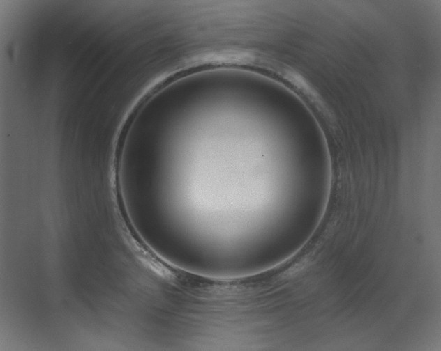 X0000073511232200607311310