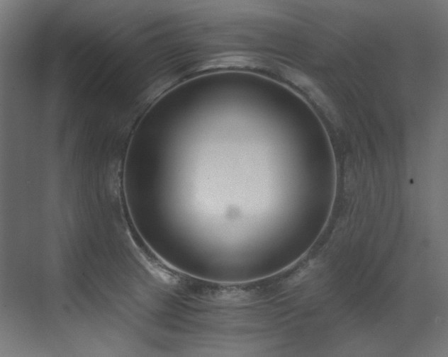 X0000073511233200607311310