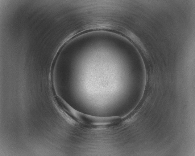 X0000073511234200607311310