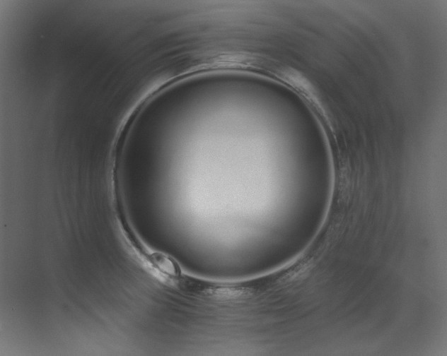 X0000073511235200607311310