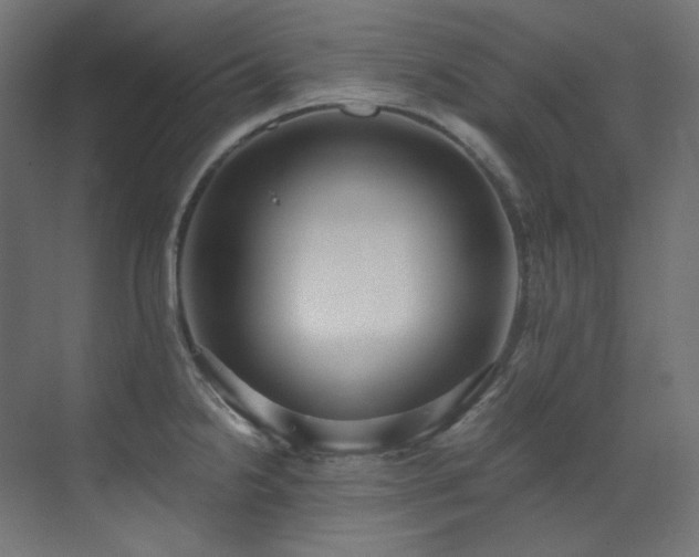X0000073511238200607311310