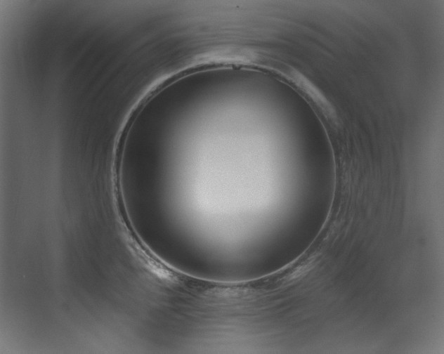 X0000073511240200607311310