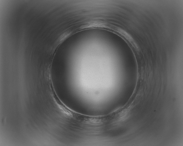X0000073511241200607311310