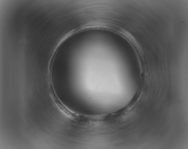X0000073511242200607311310