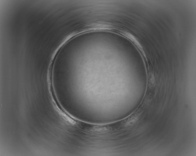 X0000073511243200607311310