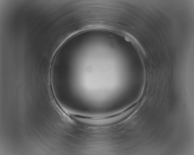 X0000073511244200607311310