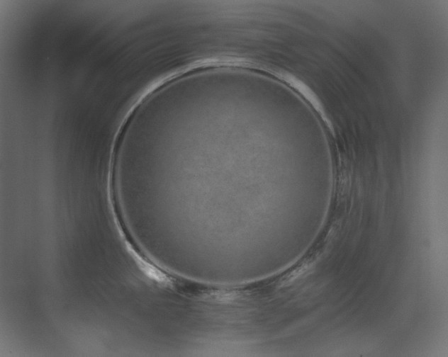 X0000073511245200607311310
