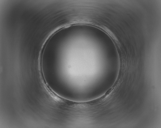 X0000073511246200607311310