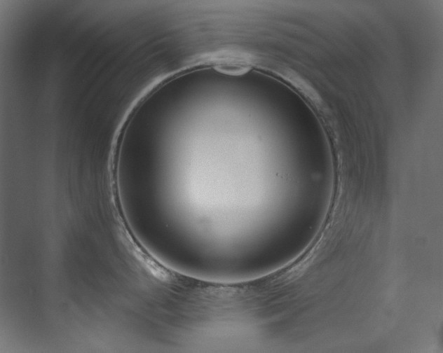 X0000073511248200607311310