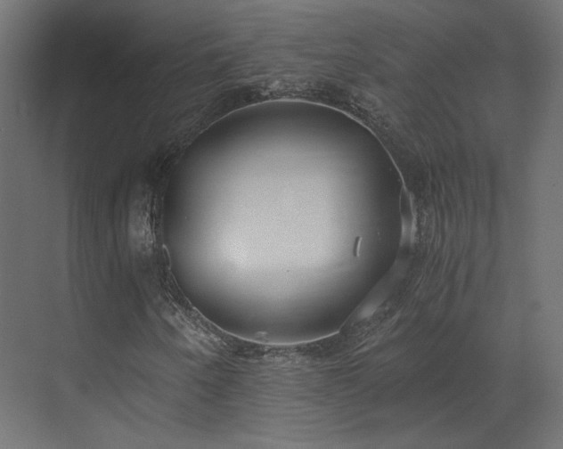 X0000073511250200607311309