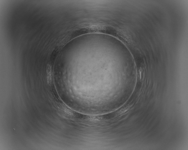 X0000073511251200607311309