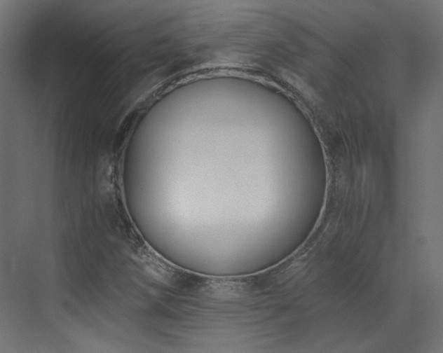 X0000073511258200607311309