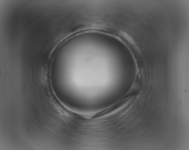 X0000073511260200607311309