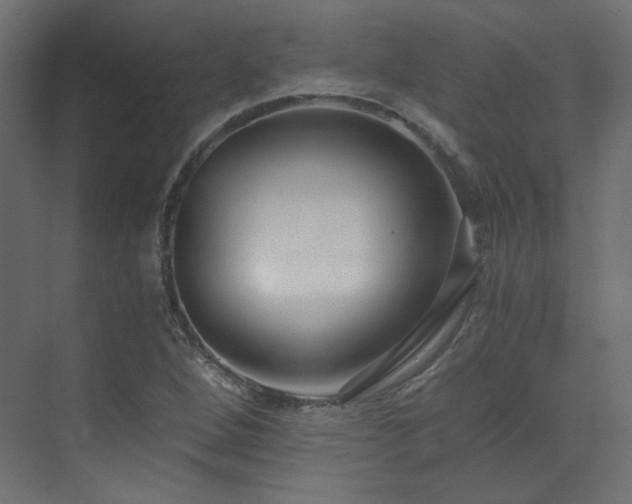 X0000073511264200607311309