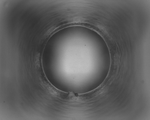 X0000073511265200607311309