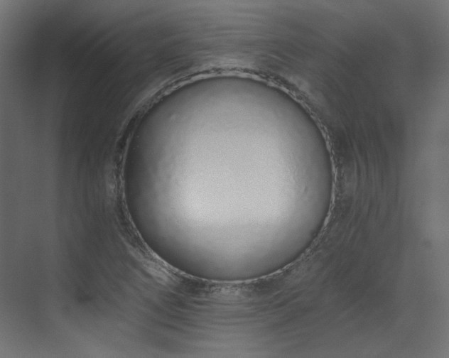 X0000073511266200607311309