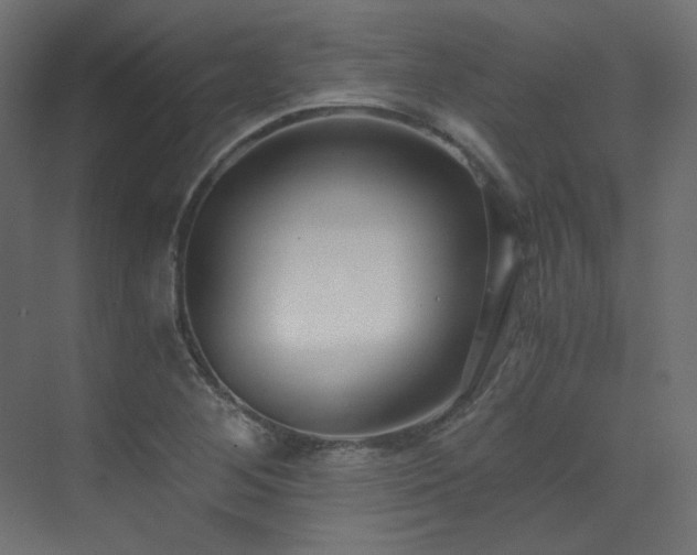 X0000073511268200607311309