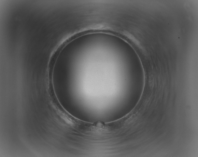 X0000073511270200607311309