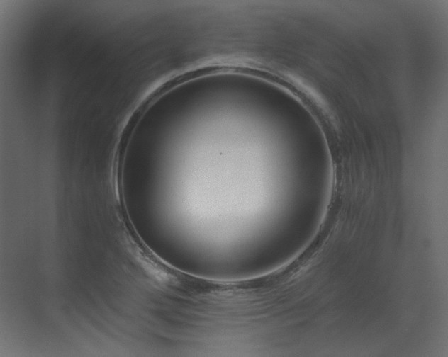 X0000073511272200607311309