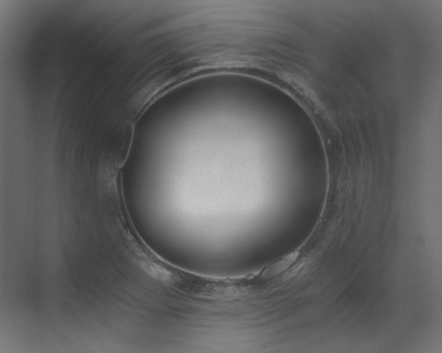 X0000073511273200607311309