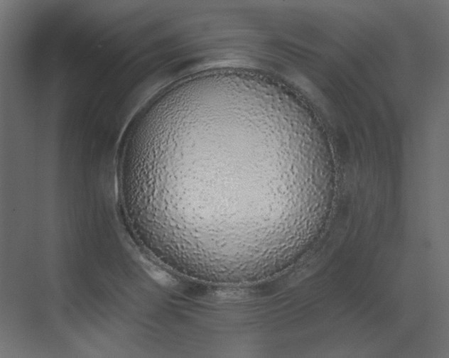 X0000073511274200607311309