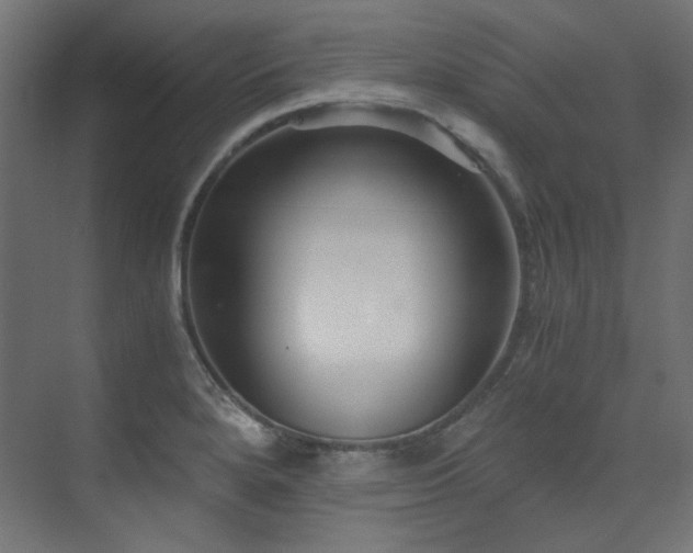 X0000073511280200607311309