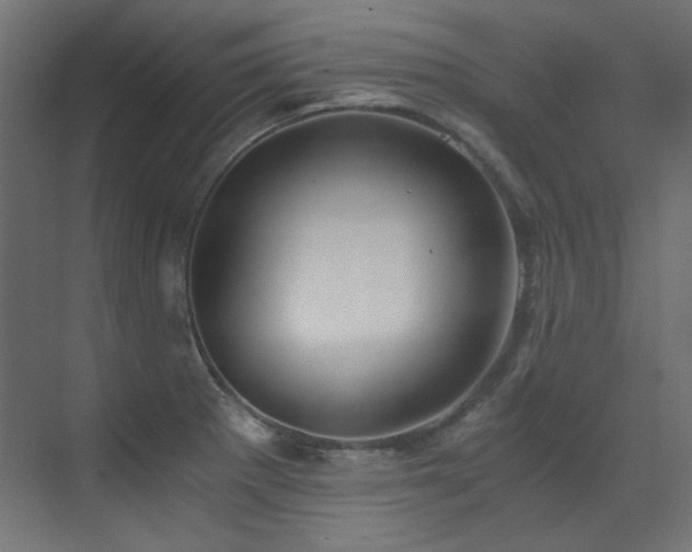 X0000073511281200607311309