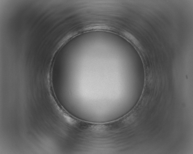 X0000073511282200607311309