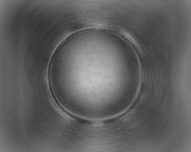 X0000073511283200607311309